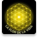 429